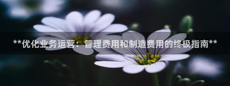 彩神vll趣投彩：**优化业务运营：管理费用和制造费用的终极