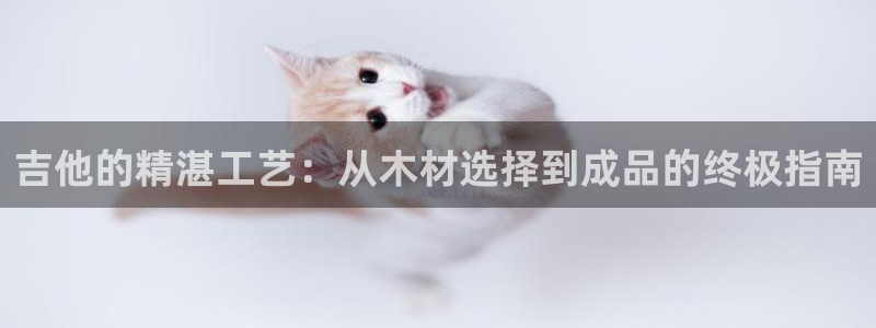 彩神v8iii：吉他的精湛工艺：从木材选择到成品的终极指南