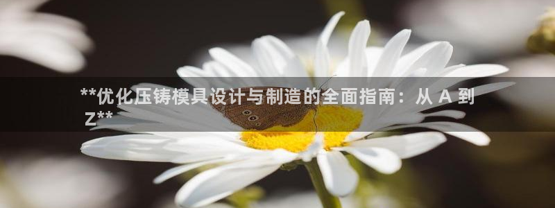 彩神官方网站登录是多少：**优化压铸模具设计与制造的全面指南：从 A 到
 Z**