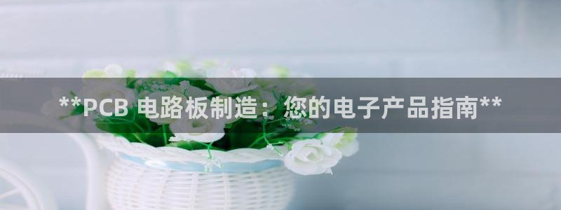 彩神x平台靠什么盈利：**PCB 电路板制造：您的电子产品指南**