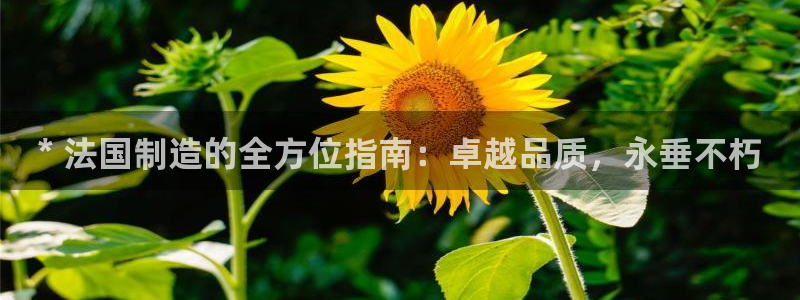 彩神vip购彩大厅在哪：* 法国制造的全方位指南：卓越品质，永垂不朽