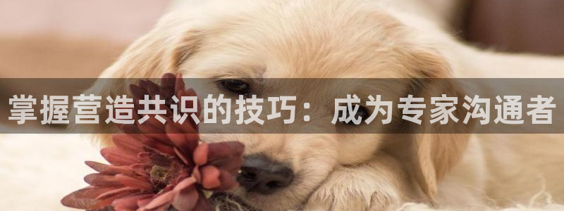 彩神ⅴll是什么样平台：掌握营造共识的技巧：成为专家沟通者