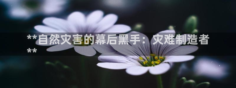 彩神是怎样一个平台赚钱的：**自然灾害的幕后黑手：灾难制造者