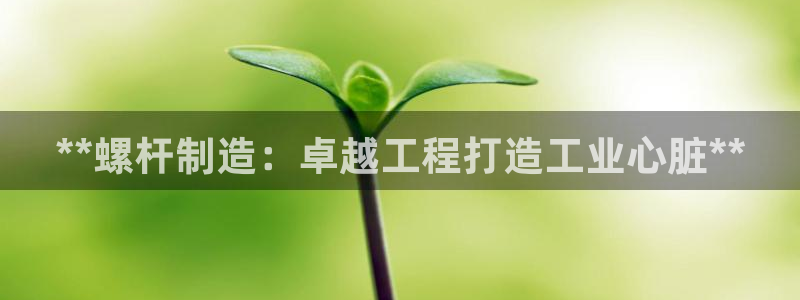 彩神v8下载app：**螺杆制造：卓越工程打造工业心脏**