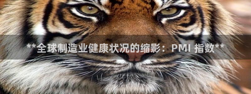 下载彩神乐发V1：**全球制造业健康状况的缩影：PMI 指数