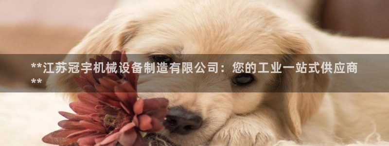 彩神vll购彩大厅：**江苏冠宇机械设备制造有限公司：您的工业一站式供应商
**