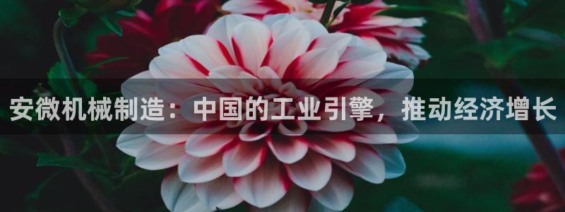 彩神vlll(中国)百度百科：安微机械制造：中国的工业引擎，推动经济增长