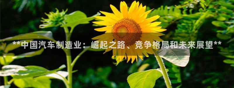 彩神vii购彩l心：**中国汽车制造业：崛起之路、竞争格局和