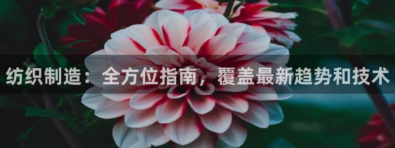 彩神ix能赚钱吗：纺织制造：全方位指南，覆盖最新趋势和技术