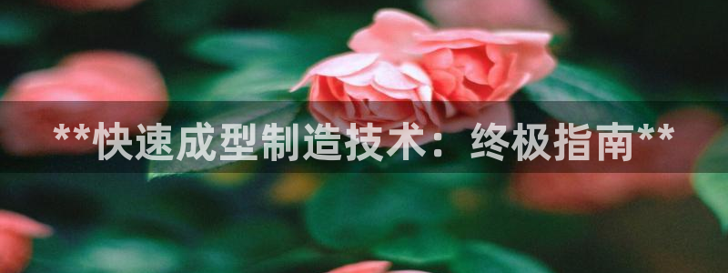 彩神app能挣到钱吗：**快速成型制造技术：终极指南**