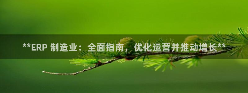 彩神vll官网-最新版app下载：**ERP 制造业：全面指南，优化运营并推动增长**