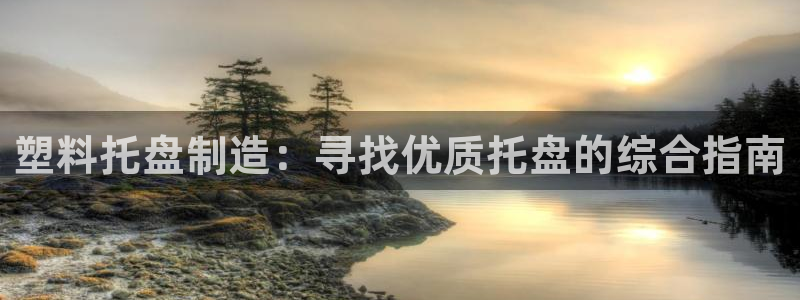 彩神8官网版是正规的吗：塑料托盘制造：寻找优质托盘的综合指南