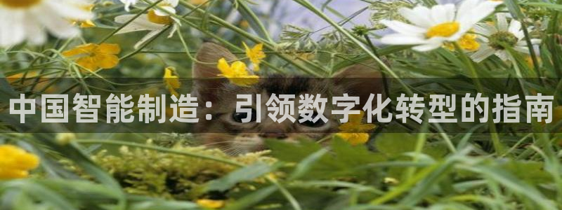 彩神平台能提现吗：中国智能制造：引领数字化转型的指南