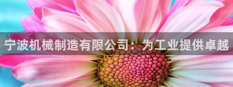 彩神vl官网：宁波机械制造有限公司：为工业提供卓越