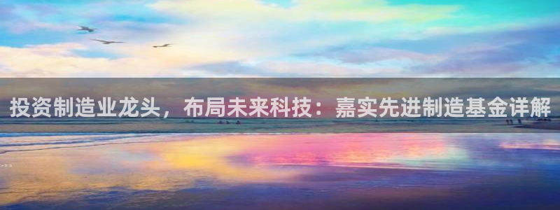 新版彩神v8登录不上去：投资制造业龙头，布局未来科技：嘉实先
