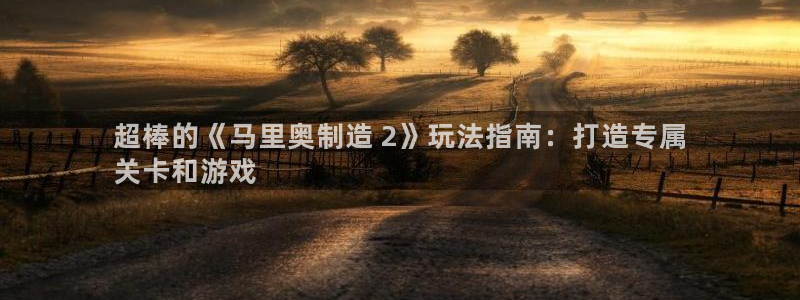 彩神vll首页：超棒的《马里奥制造 2》玩法指南：打造专属
