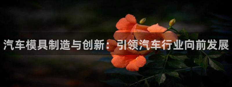 彩神ix是真的吗：汽车模具制造与创新：引领汽车行业向前发展