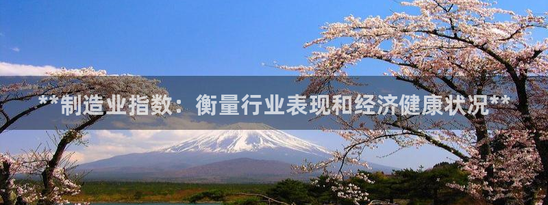 彩神viii是正规平台吗?：**制造业指数：衡量行业表现和经