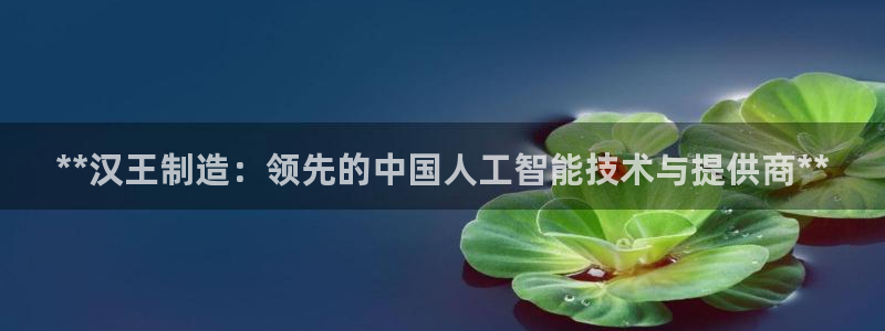彩神v网赌软件下载：**汉王制造：领先的中国人工智能技术与提供商**