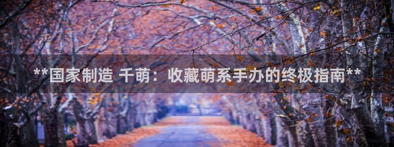 彩神大发黑平台：**国家制造 千萌：收藏萌系手办的终极指南**