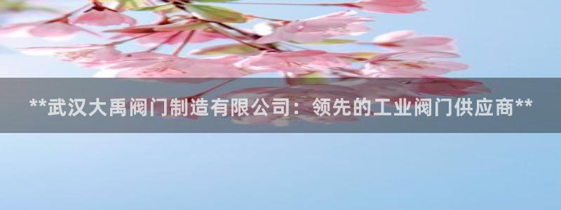 彩神V购彩大厅：**武汉大禹阀门制造有限公司：领先的工业阀门供应商**