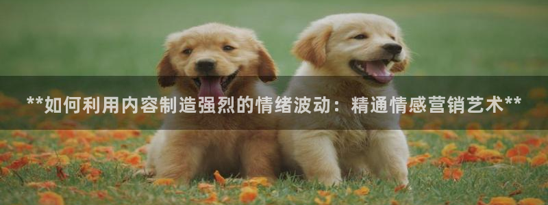 彩神v8购彩大厅登：**如何利用内容制造强烈的情绪波动：精通情感营销艺术**