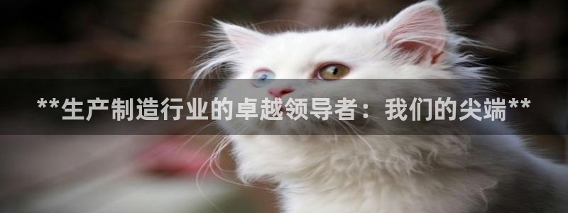 彩神争霸官网登录平台：**生产制造行业的卓越领导者：我们的尖端**