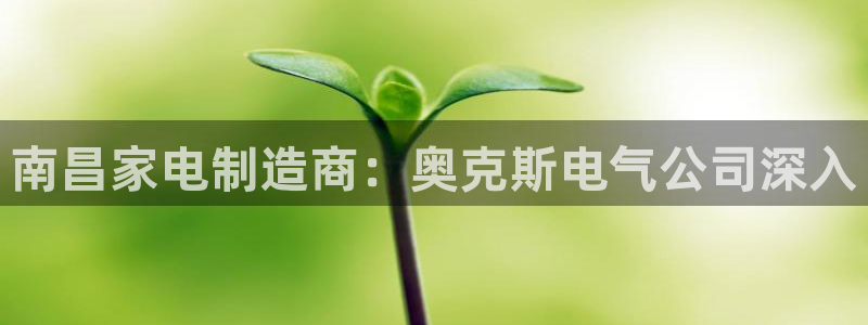 彩神 好 平台：南昌家电制造商：奥克斯电气公司深入