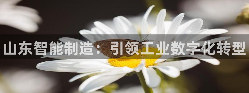 新版彩神v8登录不上去：山东智能制造：引领工业数字化转型