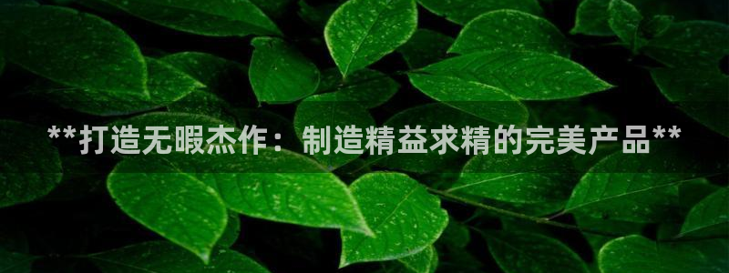 彩神怎么才能赢：**打造无暇杰作：制造精益求精的完美产品**
