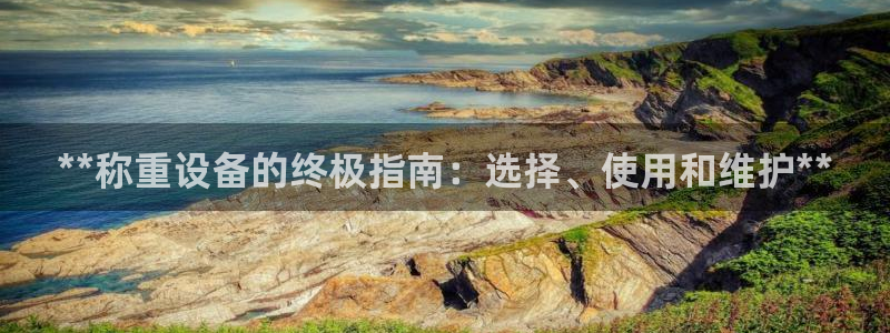 彩神VII购彩中心：**称重设备的终极指南：选择、使用和维护**