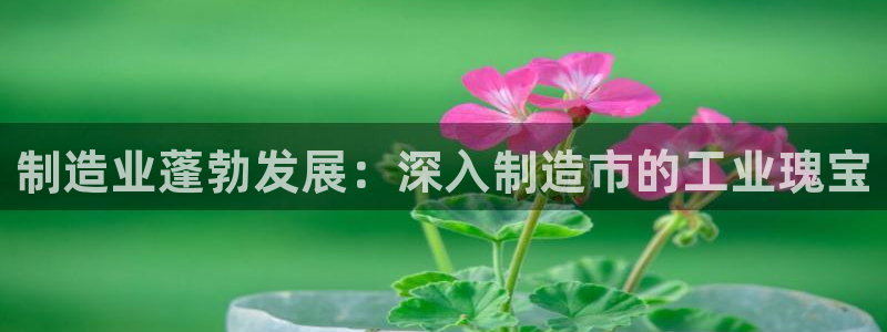 彩神可以提现吗：制造业蓬勃发展：深入制造市的工业瑰宝