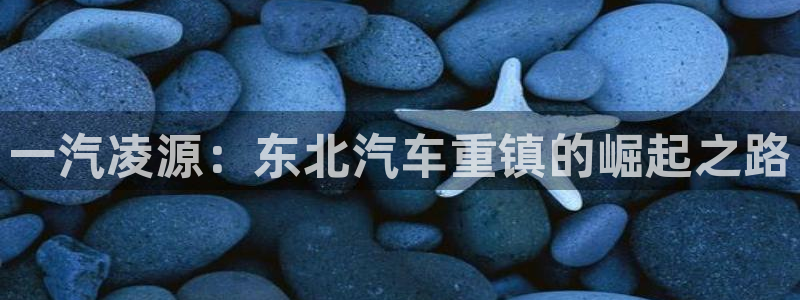 彩神大发云