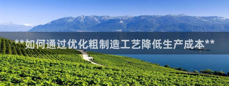 彩神官方登录：**如何通过优化粗制造工艺降低生产成本**