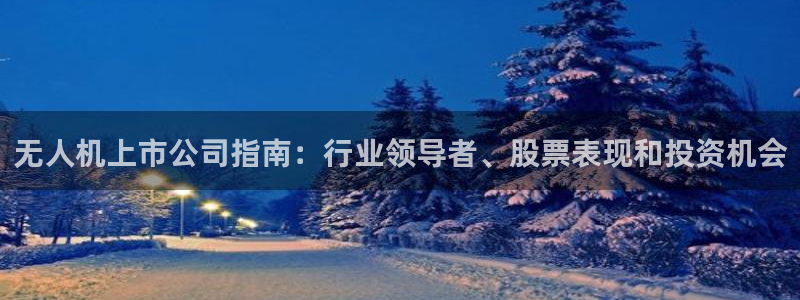 彩神官方邀请码是多少：无人机上市公司指南：行业领导者、股票表现和投资机会