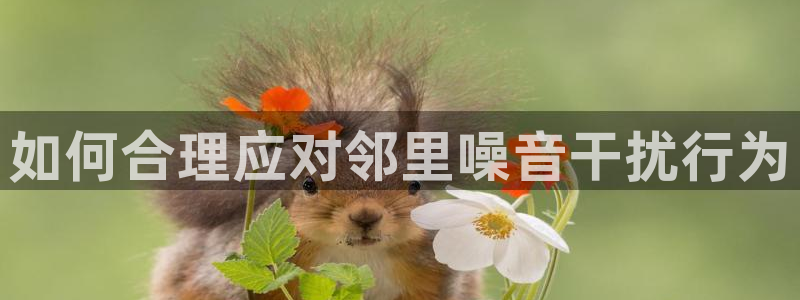 彩神v8下载app：如何合理应对邻里噪音干扰行为