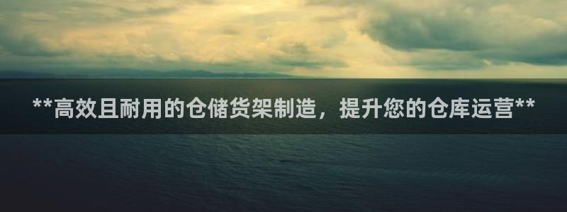彩神大发云：**高效且耐用的仓储货架制造，提升您的仓库运营*