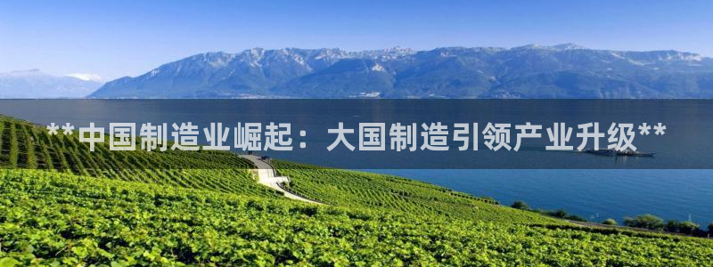 有谁知道彩神争霸的网址：**中国制造业崛起：大国制造引领产业升级**