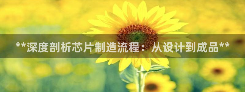 彩神大发如何观察走势：**深度剖析芯片制造流程：从设计到成品**