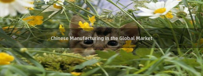 彩神是正规平台吗是真的吗：Chinese Manufactu