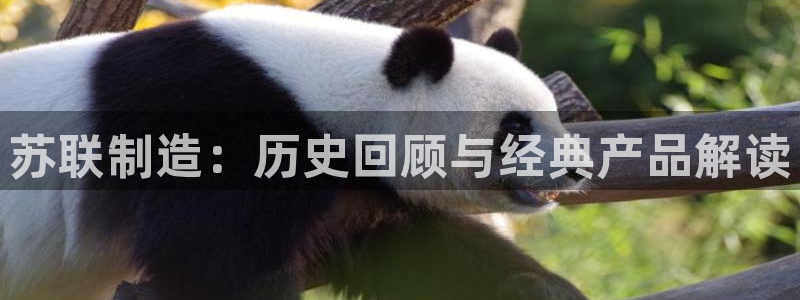 彩神平台是什么套路：苏联制造：历史回顾与经典产品解读