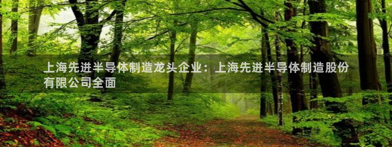 彩神v秘聊号码：上海先进半导体制造龙头企业：上海先进半导体制造股份
有限公司全面