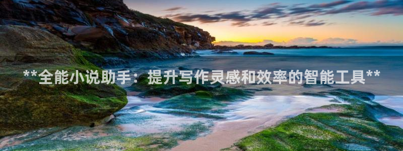 彩神ii官方网：**全能小说助手：提升写作灵感和效率的智能工具**