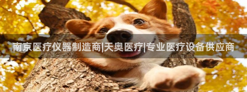 彩神赢的钱是哪里来的：南京医疗仪器制造商|天奥医疗|专业医疗设备供应商