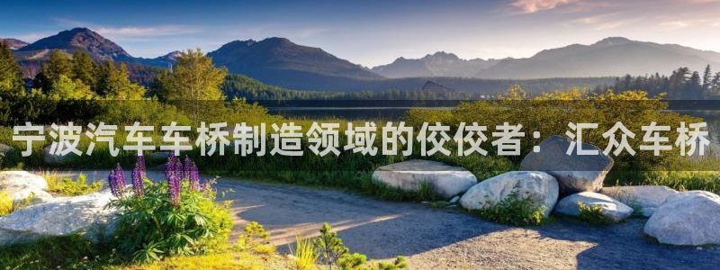 彩神8官网500：宁波汽车车桥制造领域的佼佼者：汇众车桥