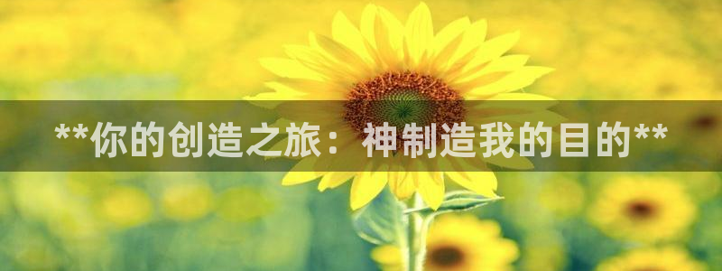 彩神VII购彩中心：**你的创造之旅：神制造我的目的**