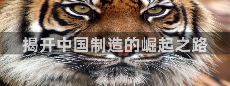 彩神大发黑平台：揭开中国制造的崛起之路