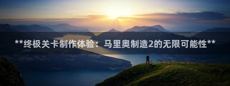 彩神8app官方下载：**终极关卡制作体验：马里奥制造2的无限可能性**