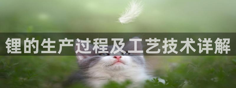 彩神vii购彩l心：锂的生产过程及工艺技术详解