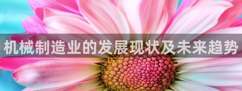 彩神是什么平台：机械制造业的发展现状及未来趋势